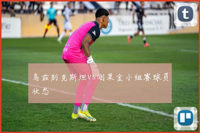 乌兹别克斯坦vs刚果金小组赛球员状态