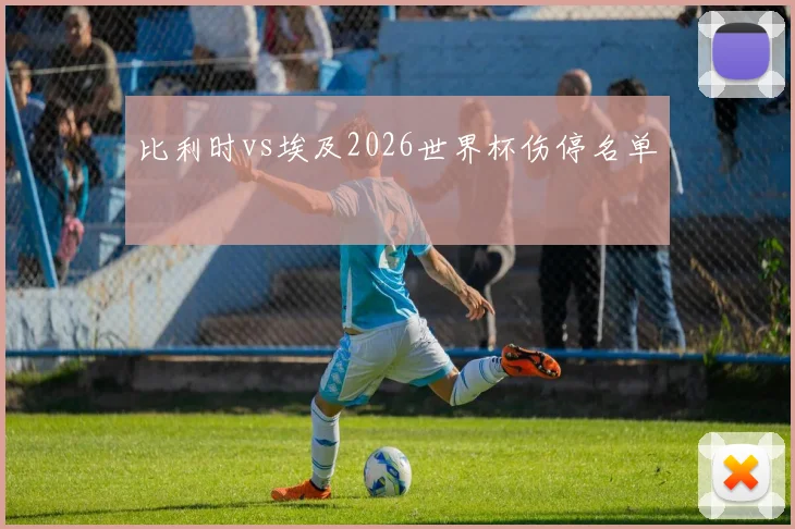 比利时vs埃及2026世界杯伤停名单