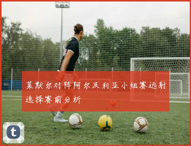 莱默尔对阵阿尔及利亚小组赛远射选择赛前分析